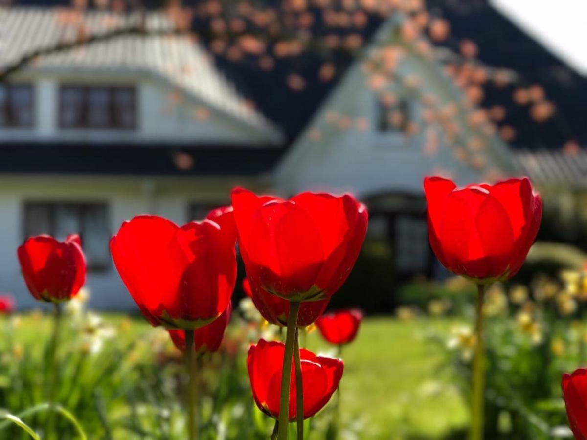 Landhaus Haack Tumlauer Koog Luaran gambar